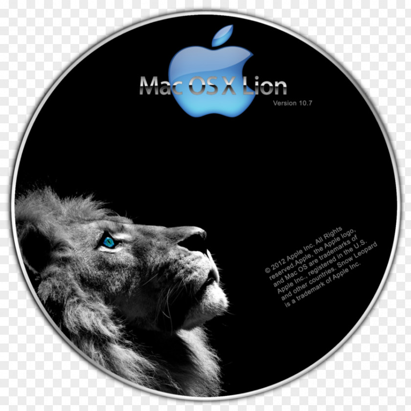 Lion Desktop Wallpaper Facebook PNG