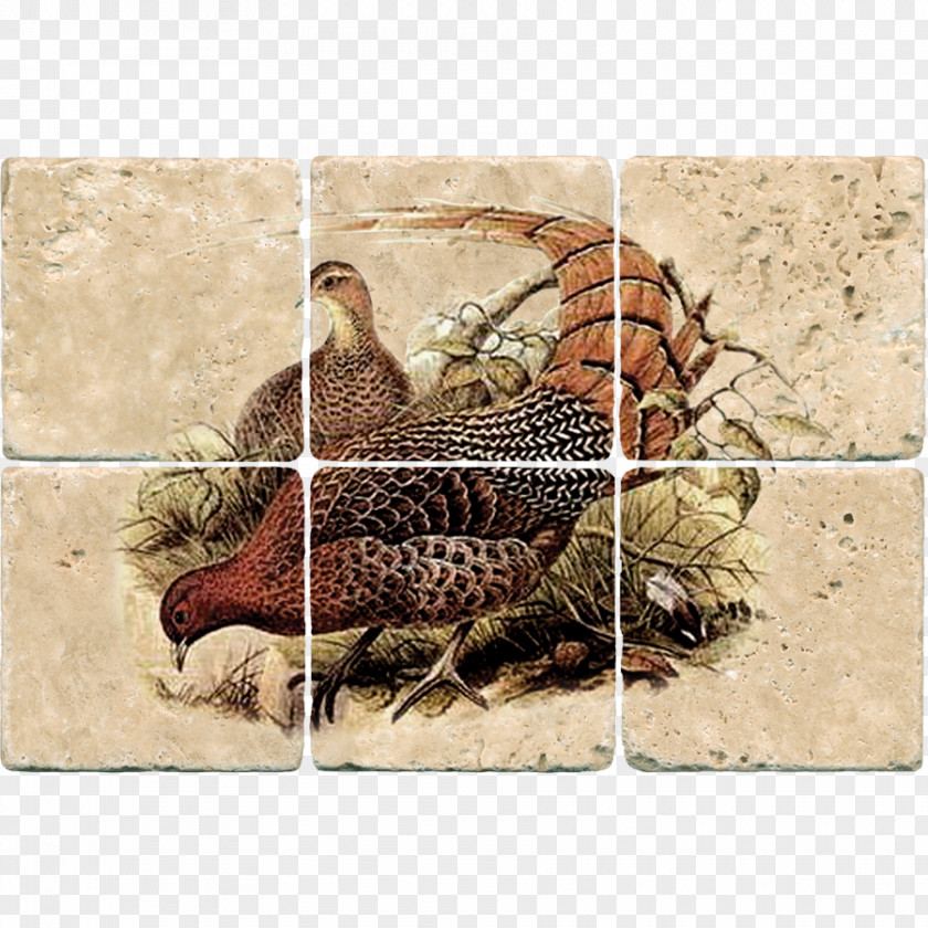 Pheasant Mural Tile Work Of Art Rooster Fruit PNG