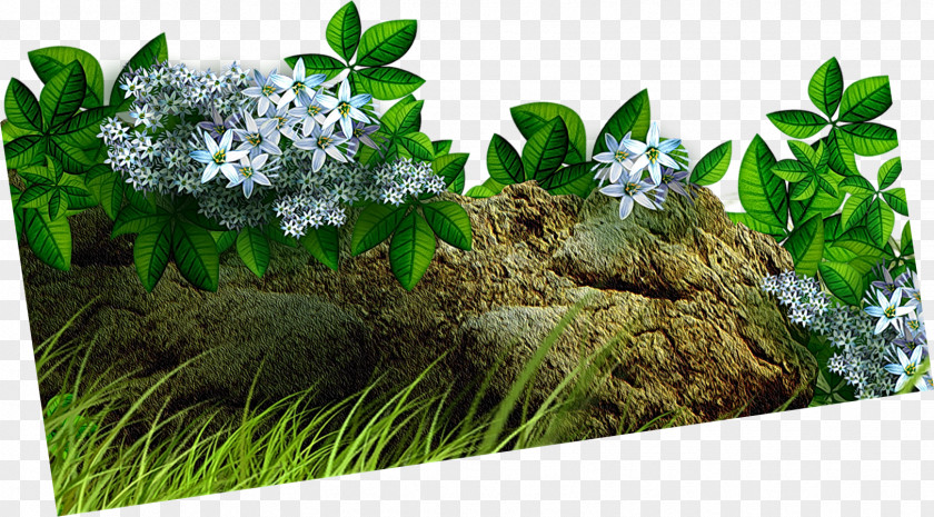 Rock Flowerpot Plant Tree PNG
