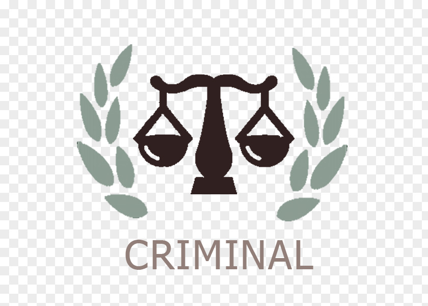 Criminal Law Firm Administrative Asset Forfeiture Health PNG