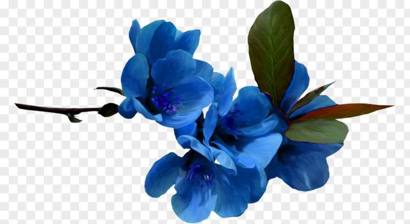 Flower Blue Color Desktop Wallpaper PNG