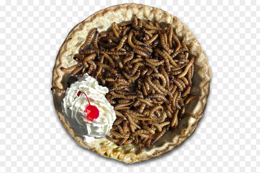 Fries Mealworm Beetle Larva Food PNG