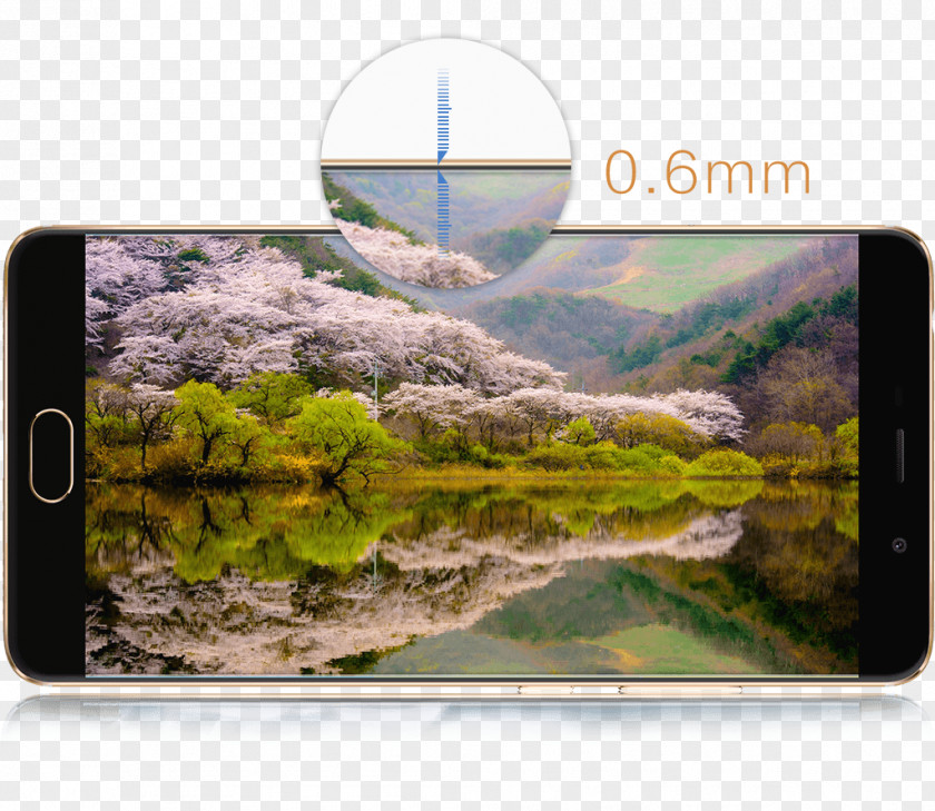 Jade Guanyin Desktop Wallpaper Landscape Computer Monitors Reflection PNG