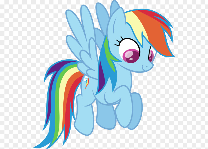 My Little Pony Rainbow Dash Fluttershy Twilight Sparkle Rarity PNG