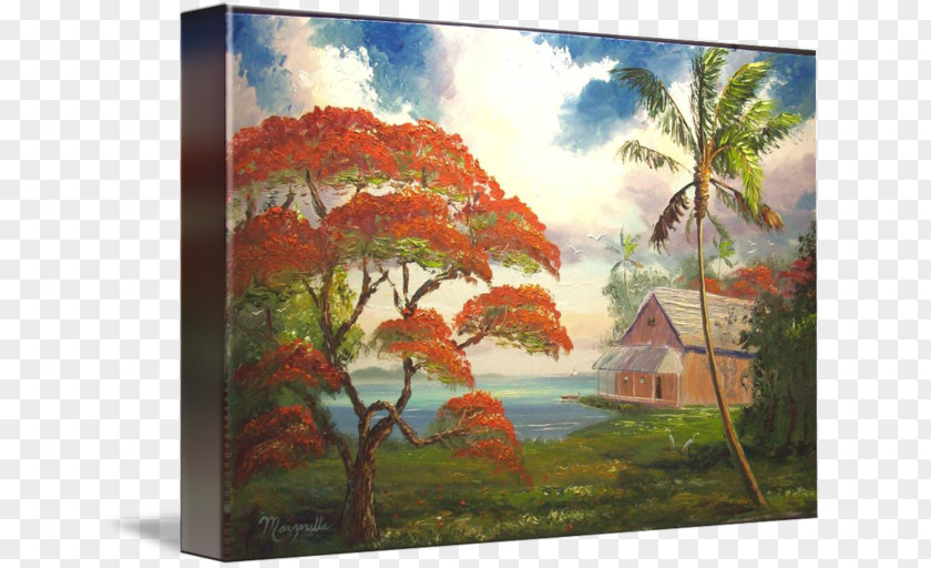 Royal Poinciana Painting Acrylic Paint Nature Picture Frames PNG