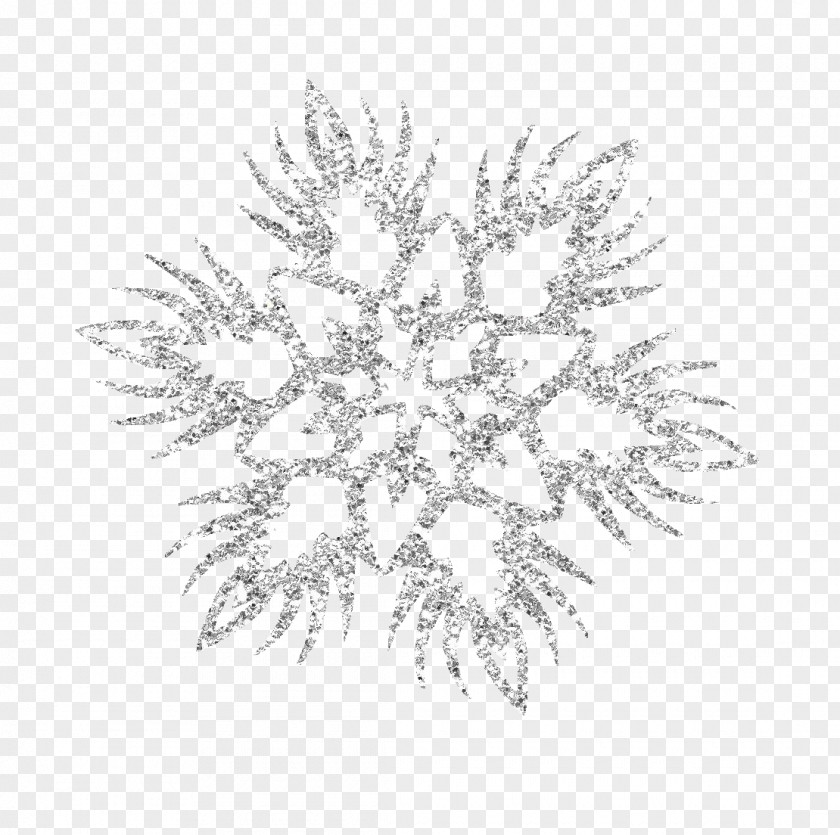 Snowflake Schema Clip Art PNG