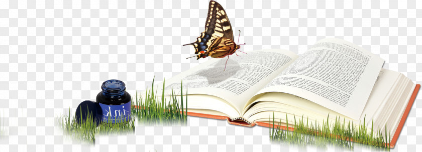 Book On The Grass Download Computer File PNG