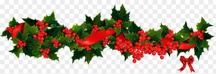 Garland Picture Christmas Icon PNG