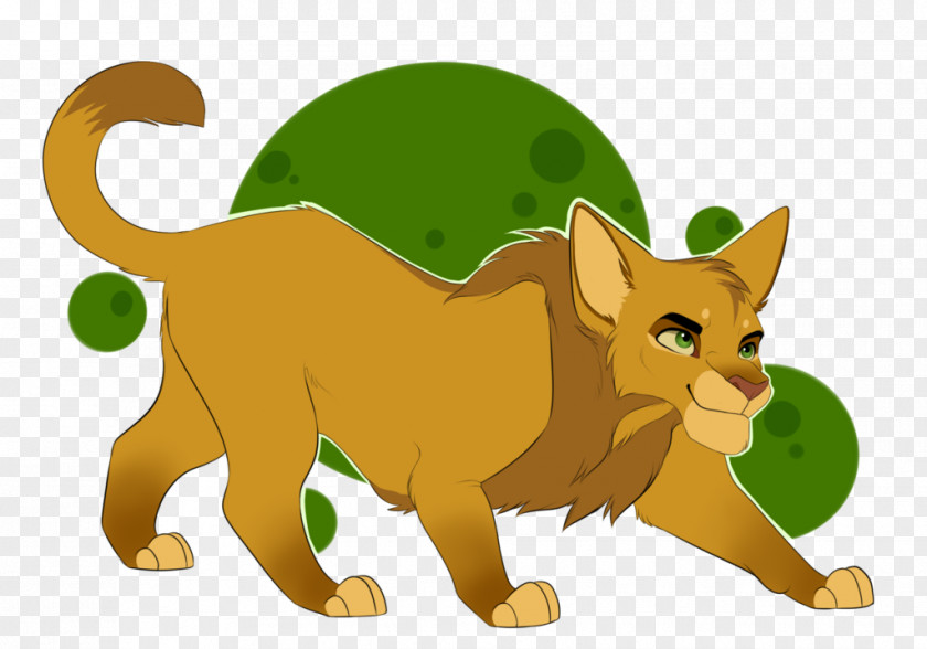 Kitten Whiskers Lion Cat Warriors PNG