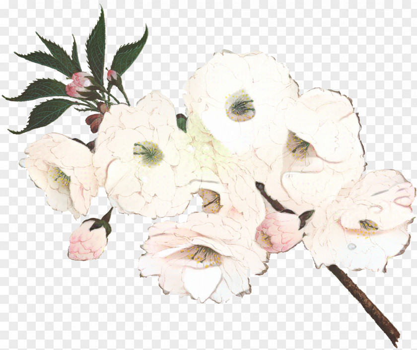 Rhododendron Azalea Flowers Background PNG