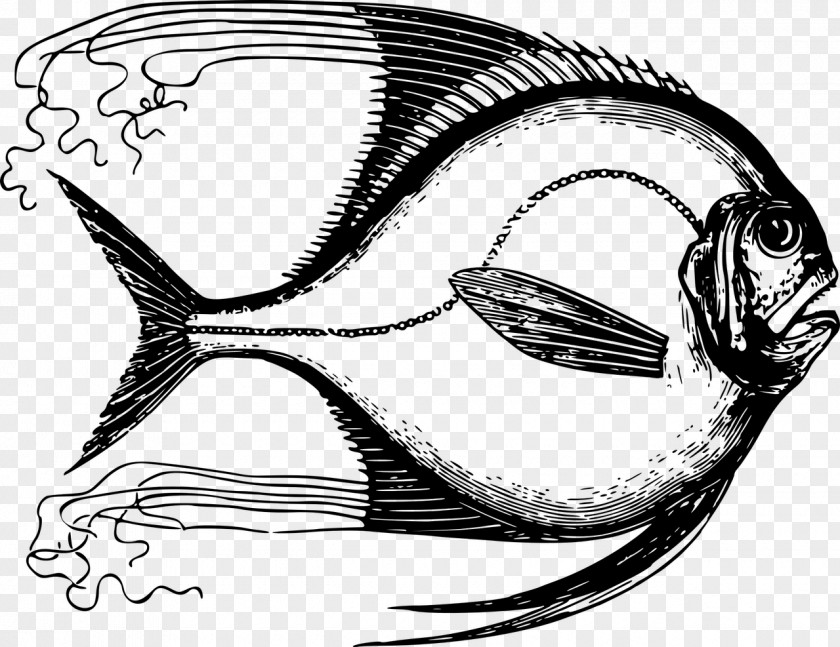 T-shirt Drawing Fish Designer Clip Art PNG