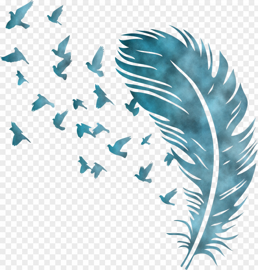 Bird Feather PNG
