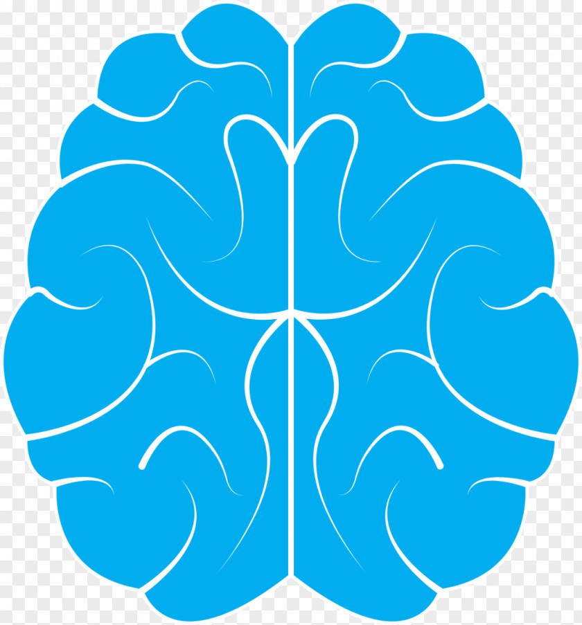 Brain Hardwiring Happiness Neurofeedback In The Treatment Of Developmental Trauma: Calming Fear-Driven Research PNG
