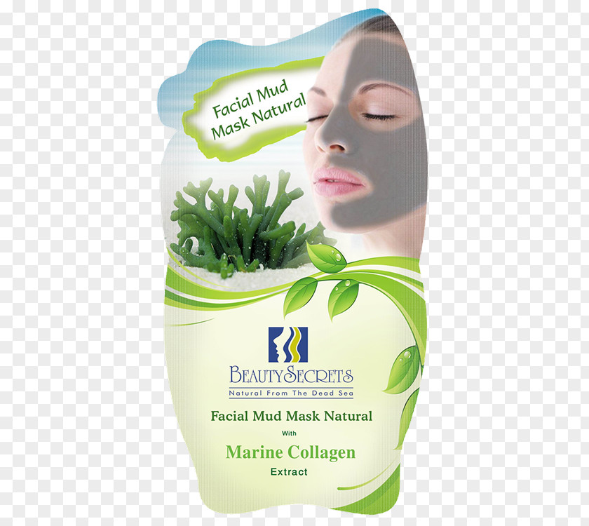 Dead Sea Mud Facial Mask Collagen Cosmetics Face PNG