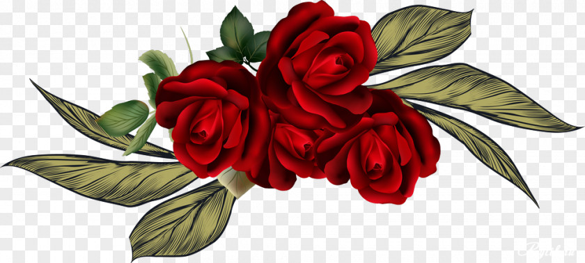 Garden Roses Floral Design Clip Art Flower Illustration PNG
