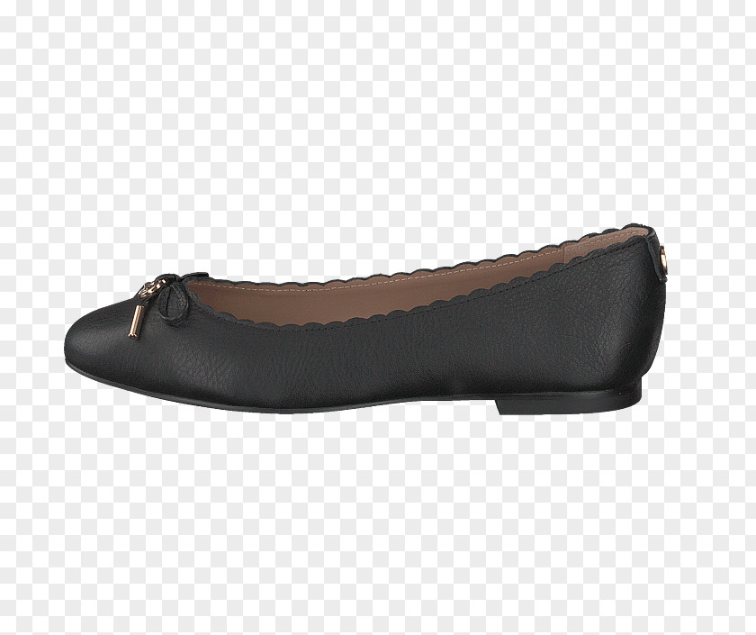 Kup Ballet Flat Shoe Navy Blue Leather PNG