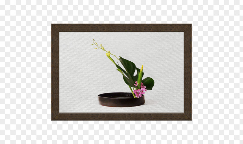 Design Floral Picture Frames Rectangle PNG