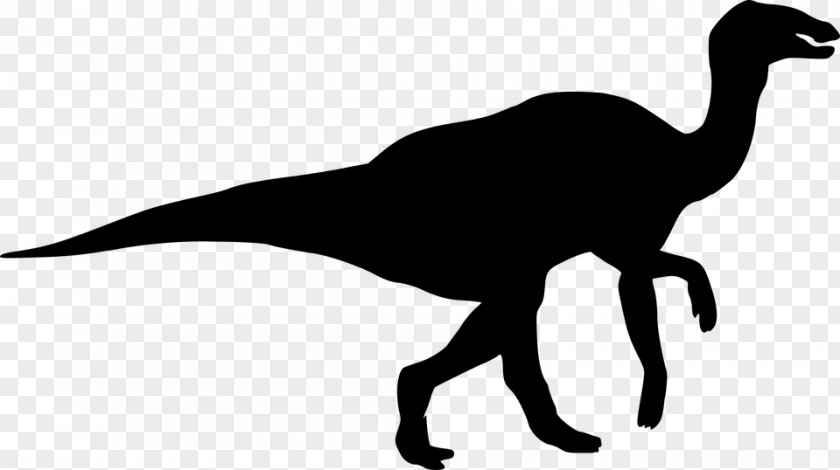 Dinosaur Tyrannosaurus Size Silhouette Spinosaurus PNG
