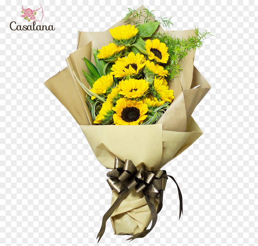 Flower Common Sunflower Cut Flowers Floral Design Bouquet PNG