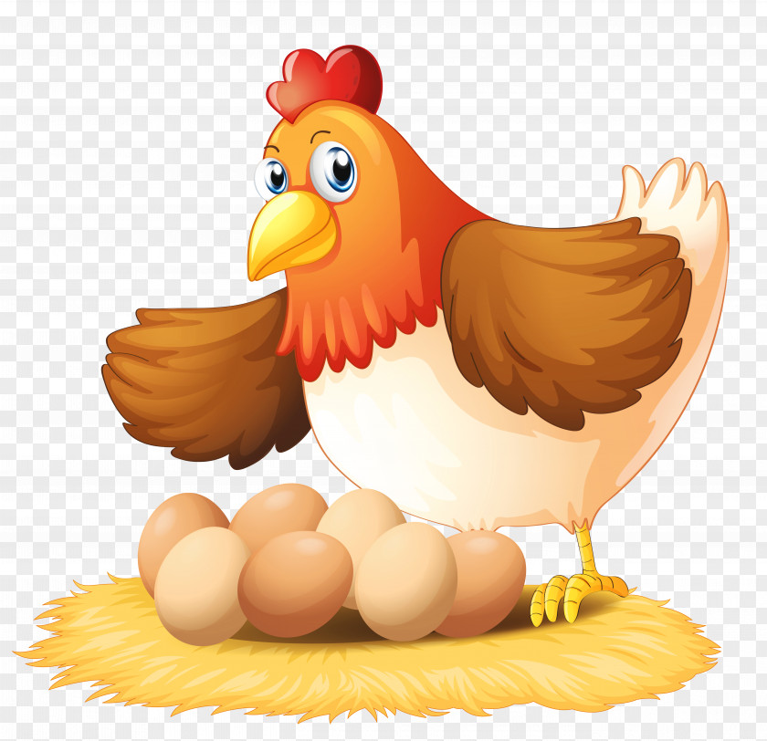 Hen Cliparts Chicken Egg Clip Art PNG