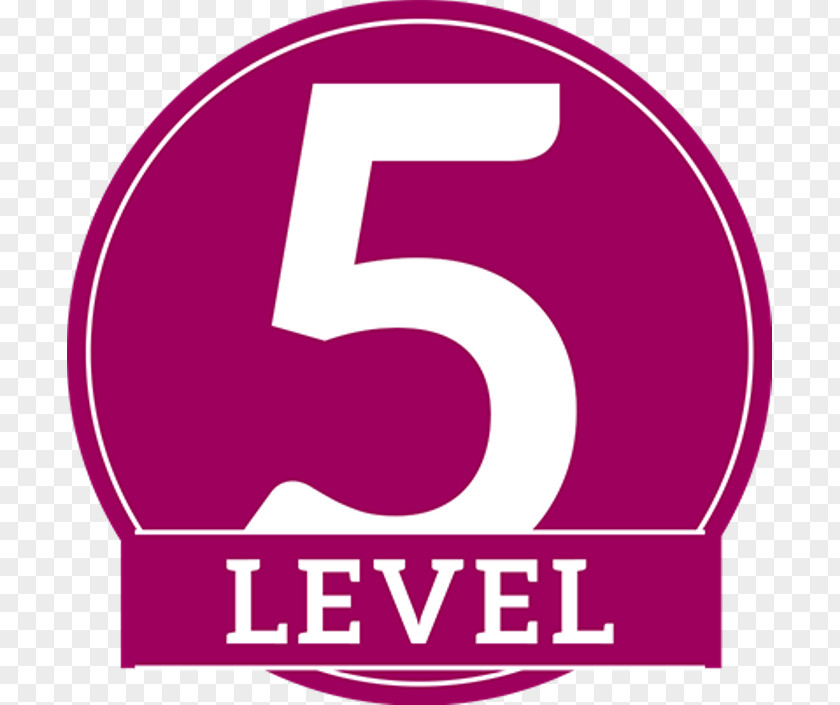 Level 4 Chief Executive Training Neuro-linguistic Programming Learning Level-5 PNG