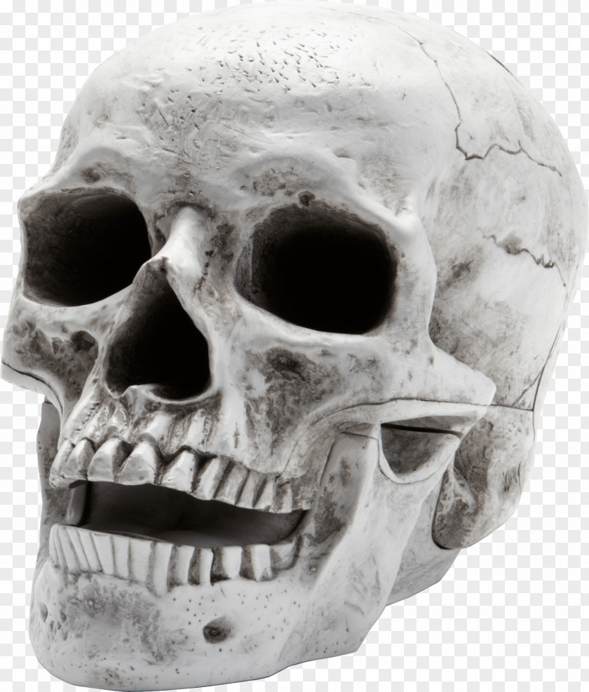 Skull Image Wallpaper PNG