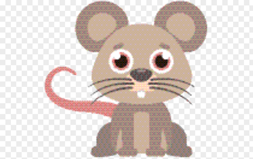 Tail Procyonidae Mouse Cartoon PNG