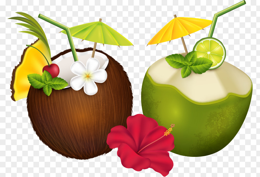 Vector Coconut And Flowers Cocktail Pixf1a Colada Water Tropics PNG