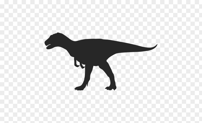Ballena Tyrannosaurus Carnotaurus Velociraptor Silhouette Dinosaur PNG