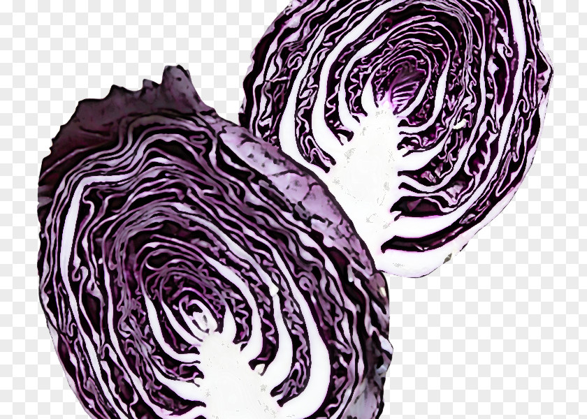 Cabbage Purple Vegetable Red Food PNG