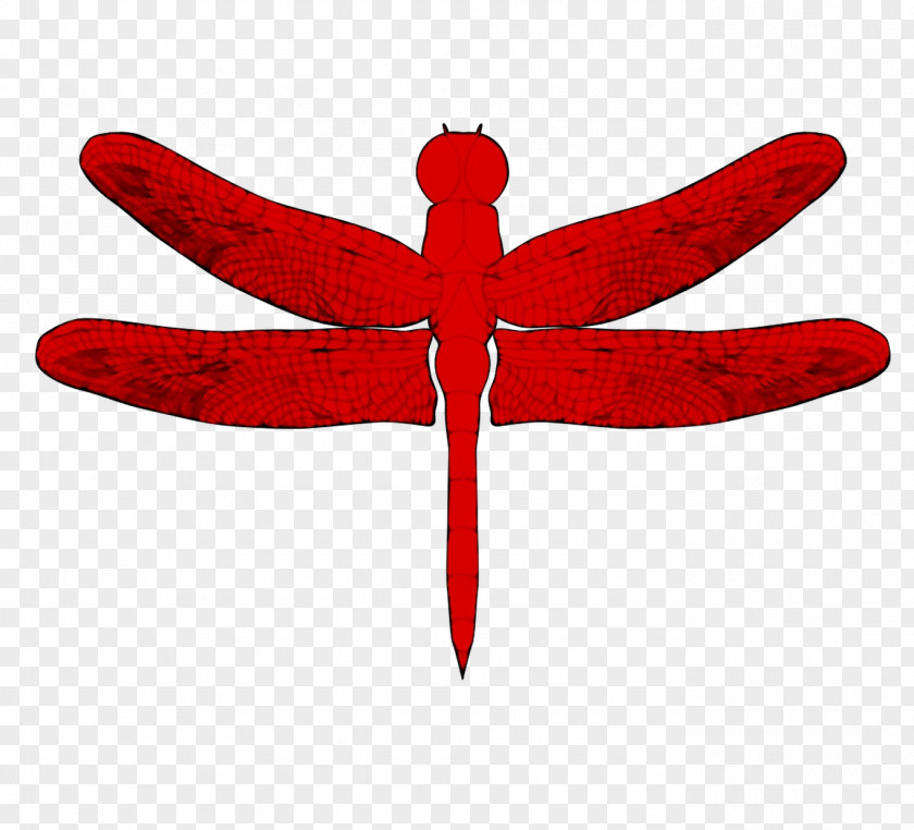 Clip Art Dragonfly Image Drawing PNG