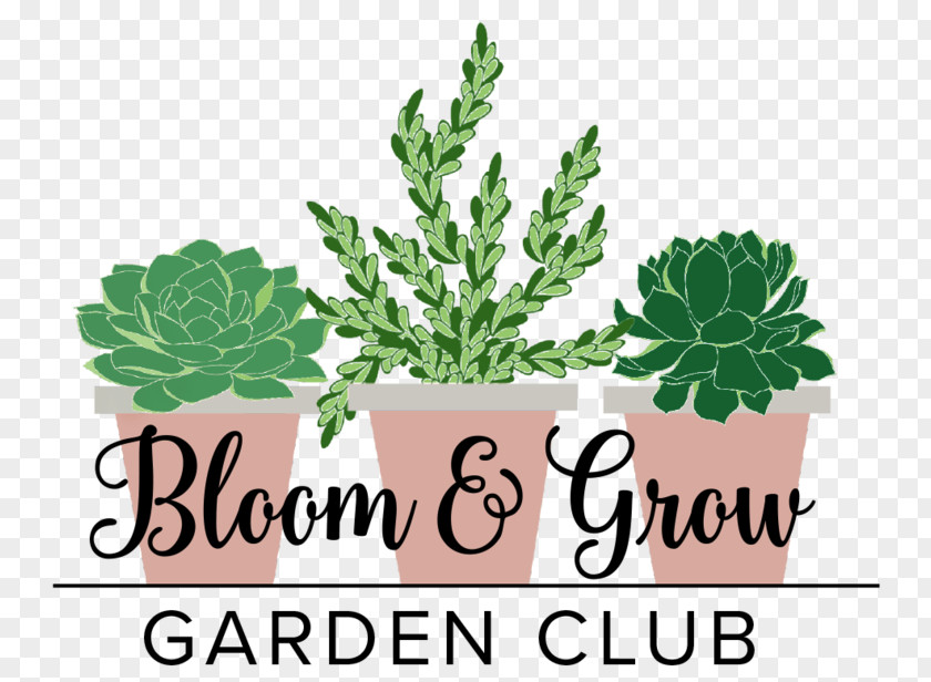 Leaf Houseplant Podcast Radio Garden PNG