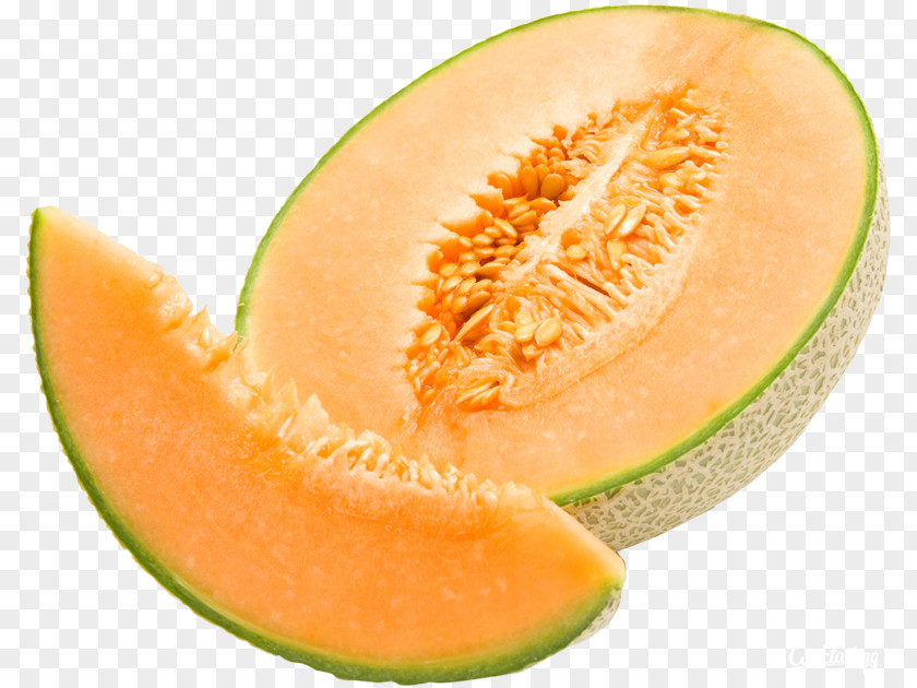Melon Cantaloupe Honeydew Juice Canary PNG