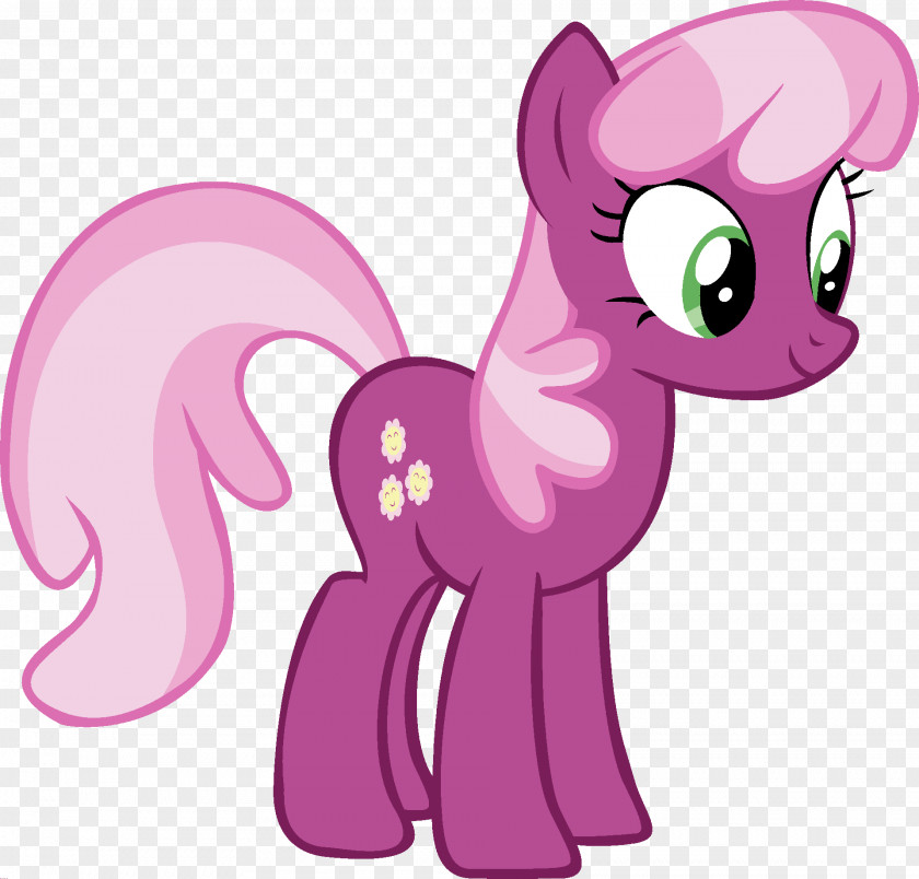 My Little Pony Cheerilee Rarity PNG