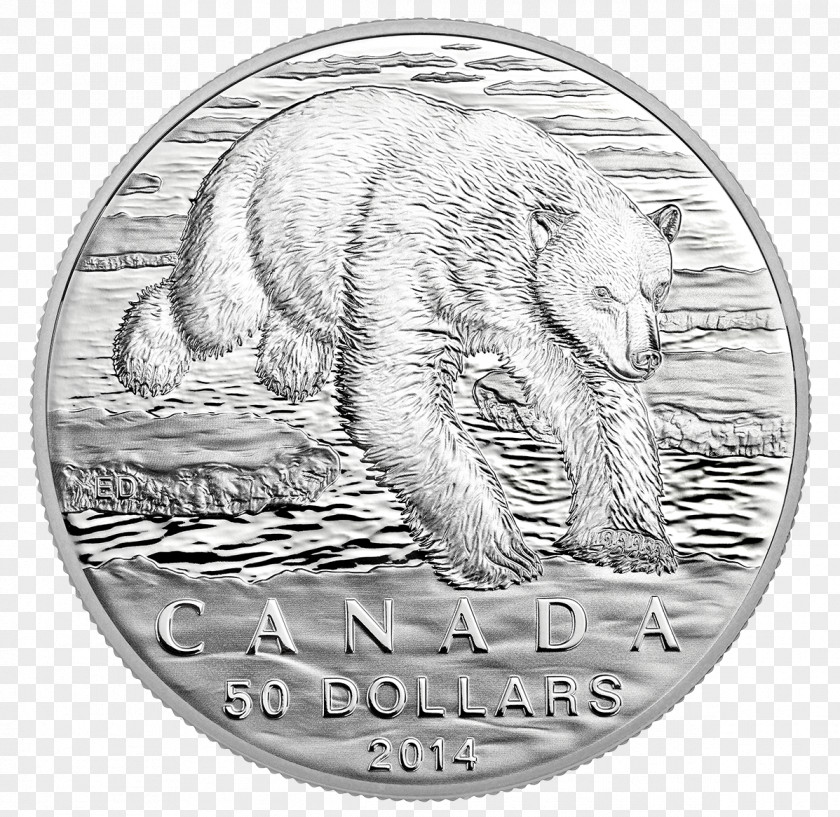 Silver Coin Canada Polar Bear PNG