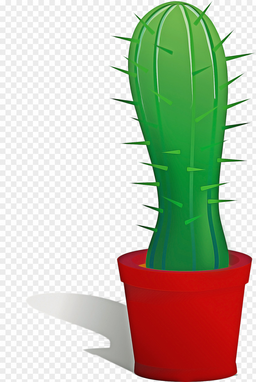 Succulent Plant Hedgehog Cactus Green Grass Background PNG