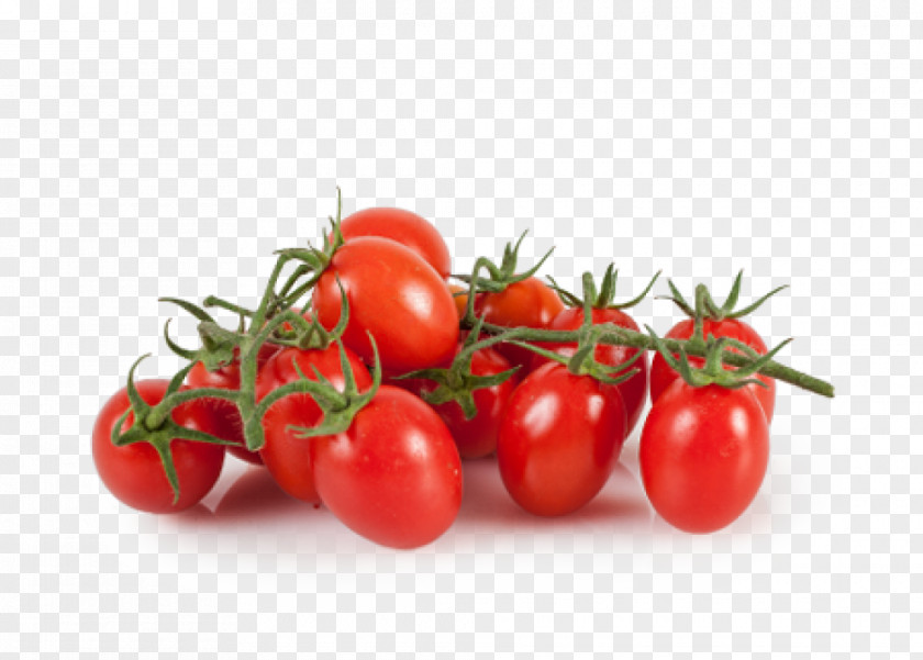 Tomato Vector Cherry Pasta Al Pomodoro Vegetable Sauce Fruit PNG