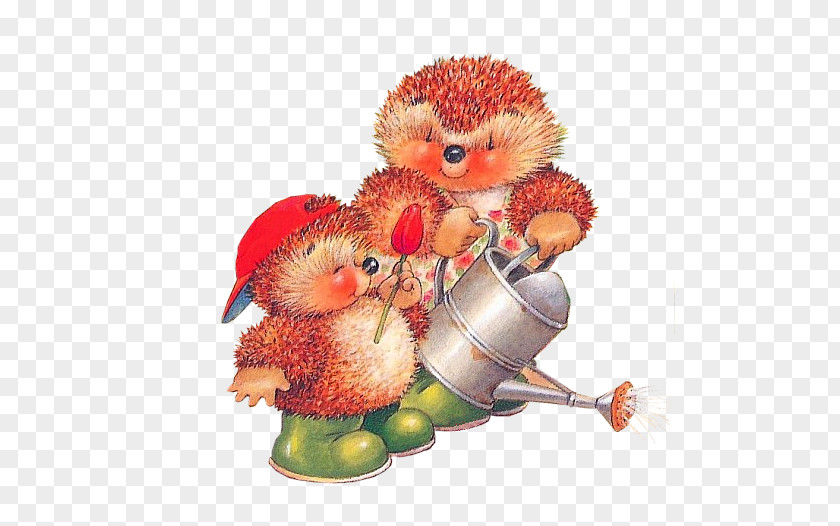 Watering Hedgehog Mother Animation Avatar Photography PNG