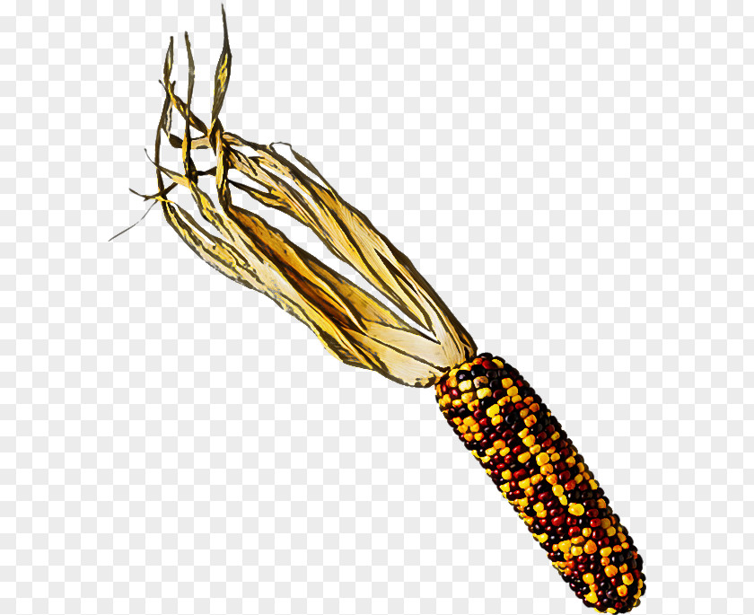 Yellow Corn PNG