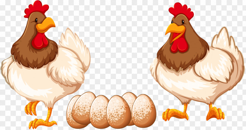 Chicken Family Clip Art Leghorn Rooster Foghorn PNG