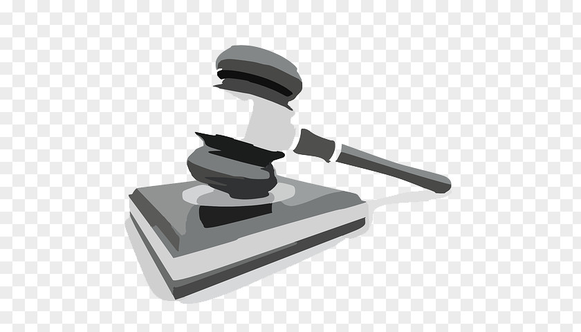 Lawyer Criminal Defense Organization Court PNG