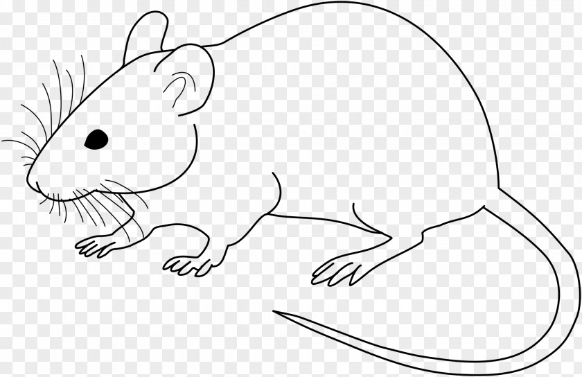 Mouse Trap Laboratory Rat Drawing Clip Art PNG