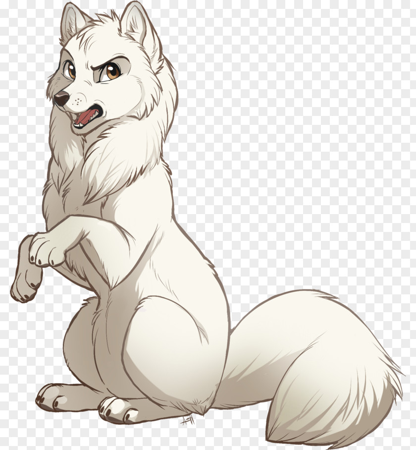 Puppy Arctic Fox Vulpini Whiskers Sketch PNG
