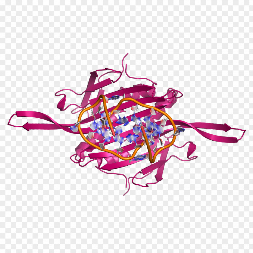 Wrought Bacteriophage MS2 RNA Phage Therapy Virus PNG