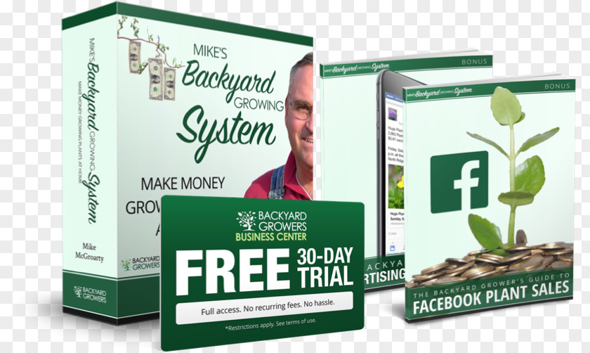 Crush It Why Now Is The Time To Cash In On Your Pa Money Plant Brand Backyard PNG