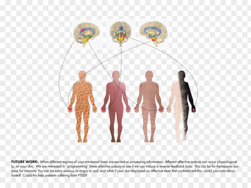 Design Somatic Marker Hypothesis Symbiosis Computer Homo Sapiens PNG