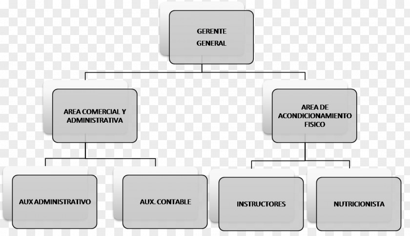 Firemen Organizational Chart Structure Fitness Centre Empresa PNG