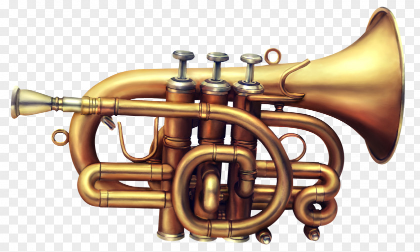 Flute Musical Instruments French Horns PNG
