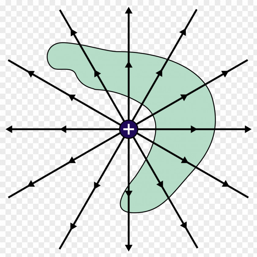 Lawyer Gauss's Law Electric Charge Physicist Field Flux PNG