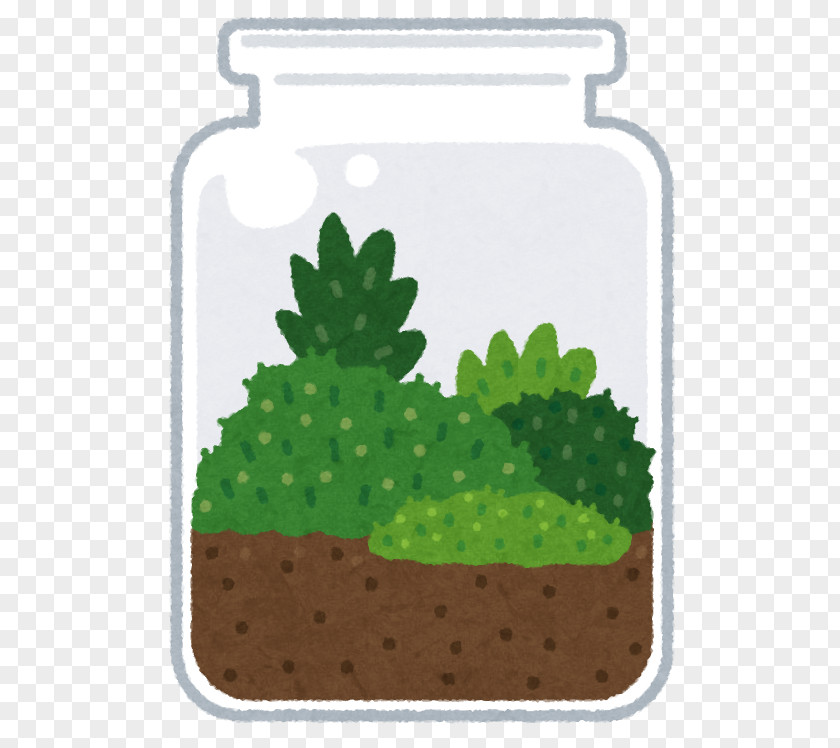 Terrarium 苔 Bryophyte いらすとや PNG